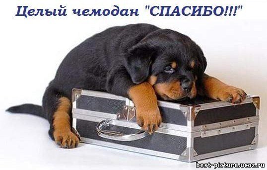 http://best-picture.ucoz.ru/_ph/21/144845848.jpg