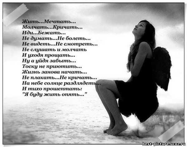 http://best-picture.ucoz.ru/_ph/21/992938000.jpg