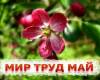 1 мая ♦ Праздник весны и труда