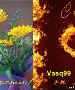 Vasq99