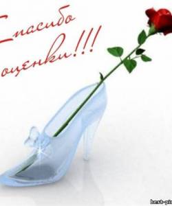 Текст