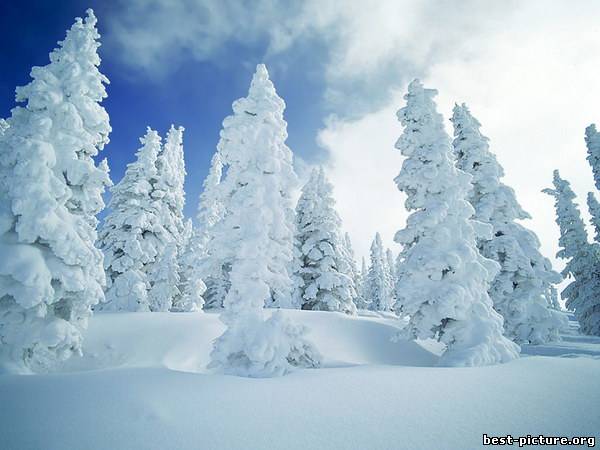 картинка Пейзажи